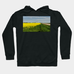 Fields of Gold Hoodie